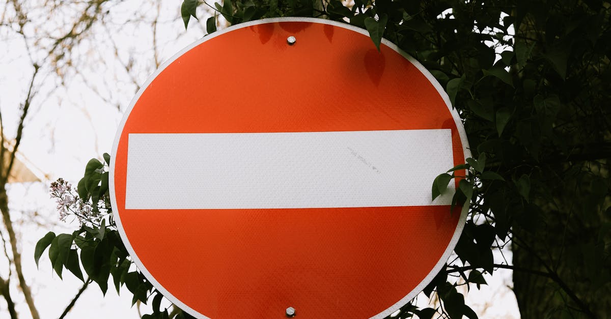 Red no entry sign surrounded by trees in a city street with a peaceful ambiance.
