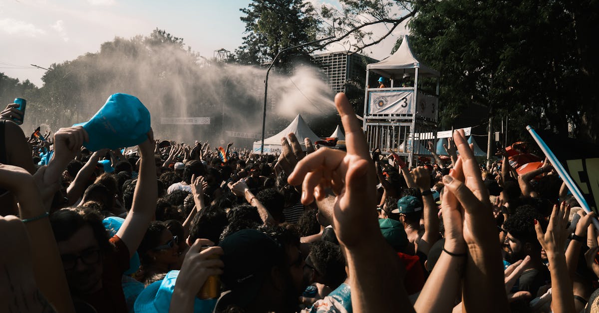 Vibrant crowd enjoying an outdoor music festival on a sunny day.